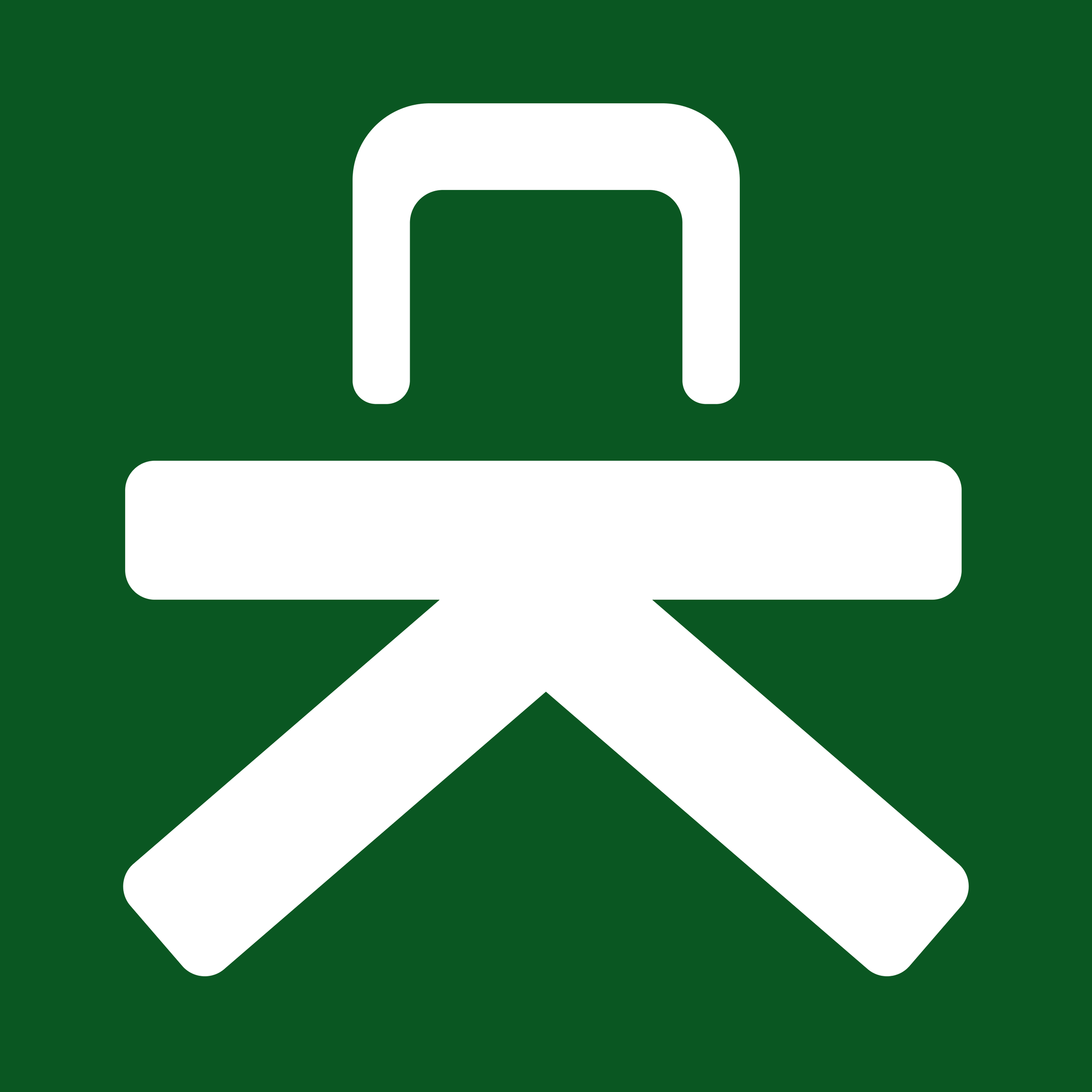 67b52ece55314399ed3a01fd_CKLOGO-p-2000